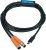 Victron Energy Lithium NG Service Tool (LiNGST) USB-C