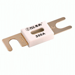 ANL pojistka 300A/80V pro 48V výrobky